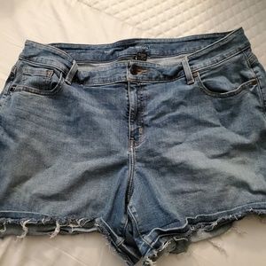 Lane Bryant Denim Shorts